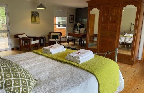 Hout Bay Apartment | Ixia studio-Serene, solar, pet friendly, garden and valley views