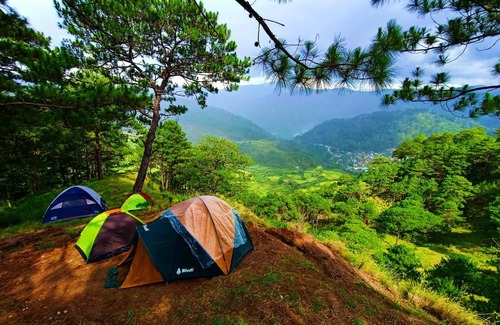 Bauko Other | IYAMAN FARM NEAR SAGADA MOUNTAIN PROVINCE, PH