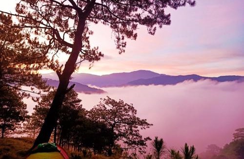 Bauko Other | IYAMAN FARM NEAR SAGADA MOUNTAIN PROVINCE, PH