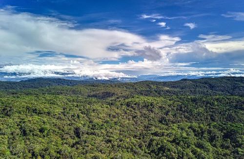 Copey Bed & Breakfast | Iyok Ami (Madre Tierra)
