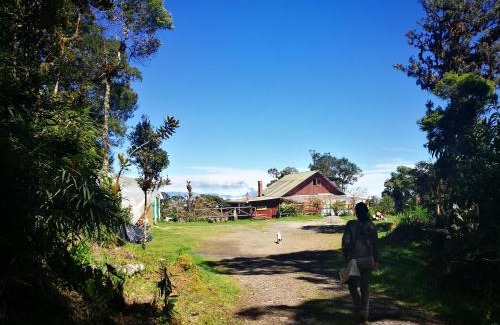 Copey Bed & Breakfast | Iyok Ami (Madre Tierra)