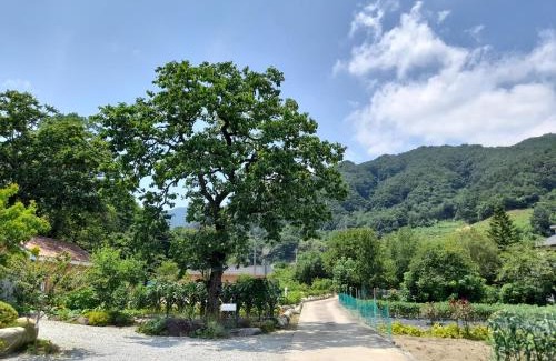 Gangneung House | Izmir Pension