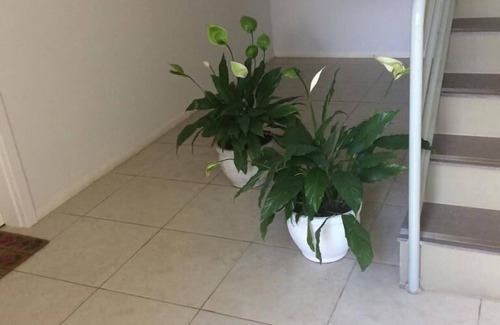 Beco da Alegria Apartment | J & C ap.- Cinnamon family apartment, quiet and comfortable