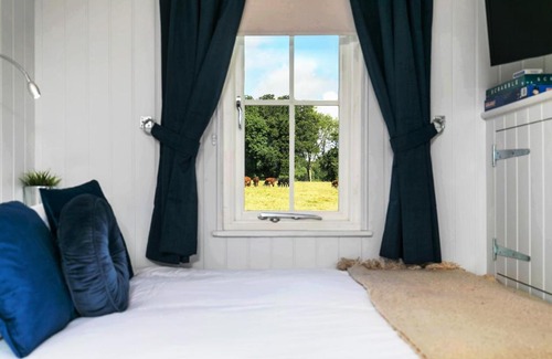 Sparsholt Other | Jabba, The Hut