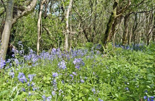 Bude House | Jacks Barn - Hssu
