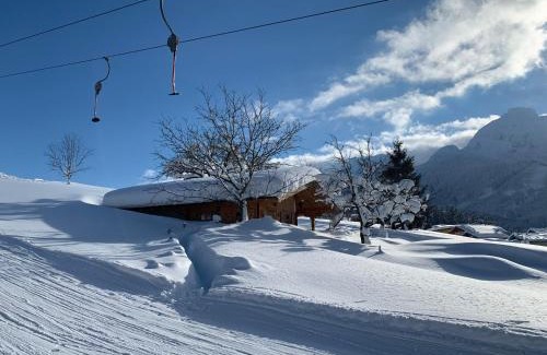 Abtenau Ski Chalet | Jagdhütte