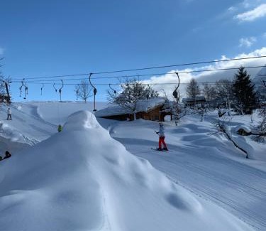Abtenau Ski Chalet | Jagdhütte