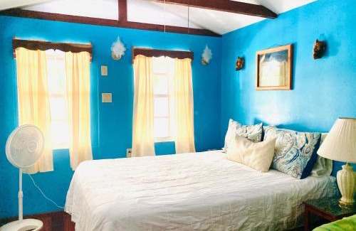 Caye Caulker House | JAGUAR MORNING STAR