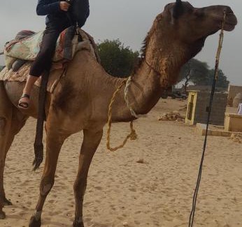 Amar Sagar Pol Hotel | Jaisalmer Guest House