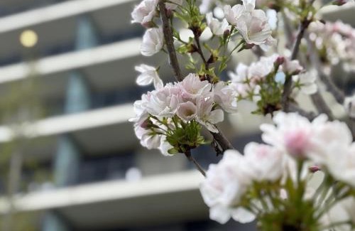 Ujlipotvaros Apartment | Japandi Studio Apartment, free parking