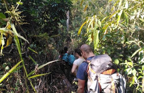 Ban Lung House | Jar rai village homestay& Sona trekking tour