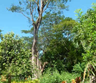 Jicaral Other | Jardines del Golfo