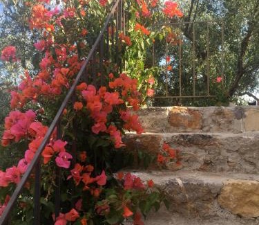 Agios Ioannis House | Jasmine Village House