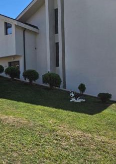 Bajina Basta House | Javor