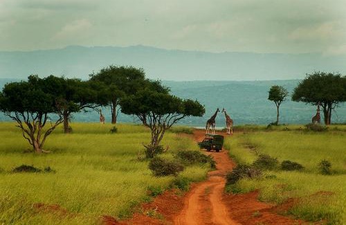 Kabale Other | JB heartfelt tours and travels