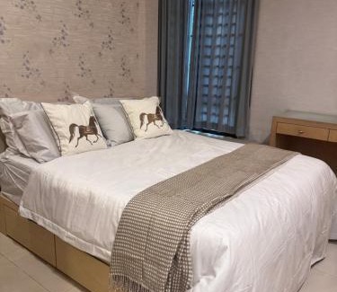 Taman Mount Austin House | JB home Mount Austin SemiD near Toppen IKEA Aeon fix to 14pax