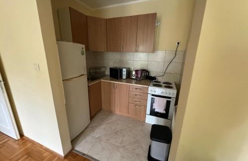 Grbavica Apartment | Jednosoban, Grbavica