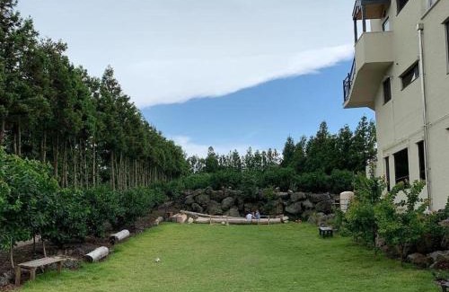 Jocheon House | Jeju Bomewasan