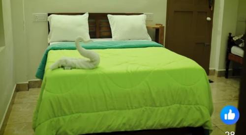 Elappara House | Jerusalem Homestay