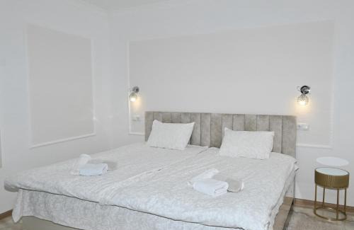 Kutaisi Apartment | JERUSALEM luks מלון Kutaisi