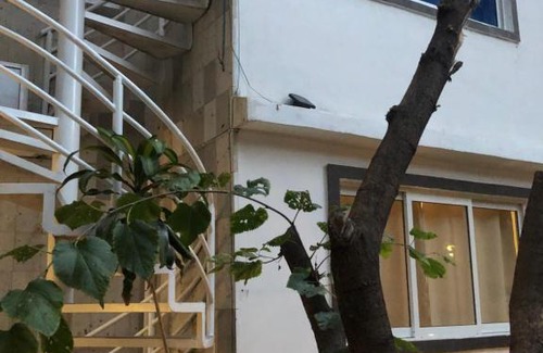 Coyoacan Apartment | Jess