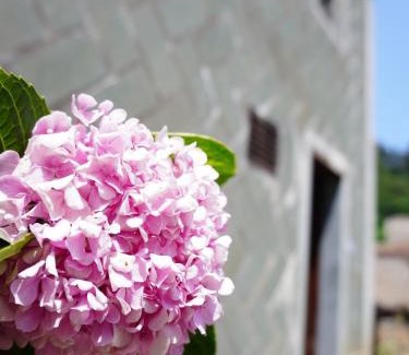 Nangan House | Jin Sha Ting Hai Homestay I