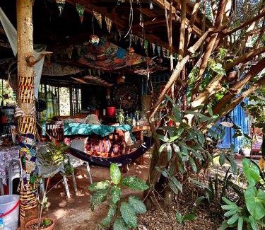 Jinja Other | Jinja Jungle Glamping Tent 2025