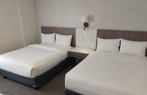 San Luis Potosi Hotel | JM & Suites