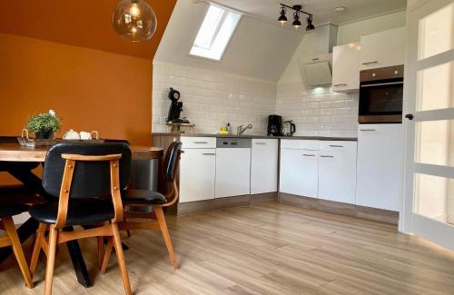 Anjum House | Joke am Deich 6 pers house with equipped terrace behind a dike at Lauwersmeer