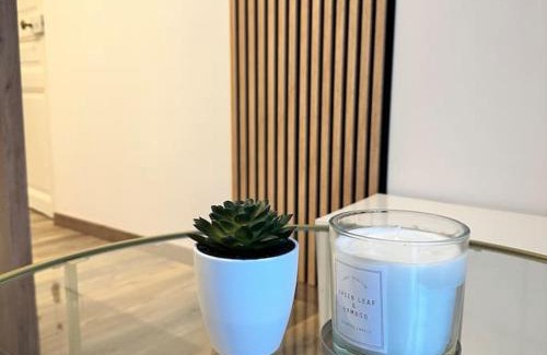 Dinan - Saint-Malo Apartment | Joli appartement neuf au centre de Rennes