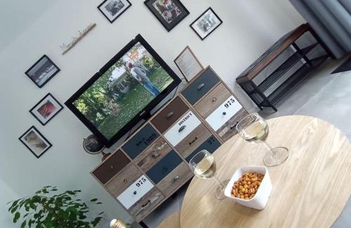 Nerac Apartment | Joli gîte indépendant au calme tout confort wifi climatisation draps et serviettes incluses parking gratuit