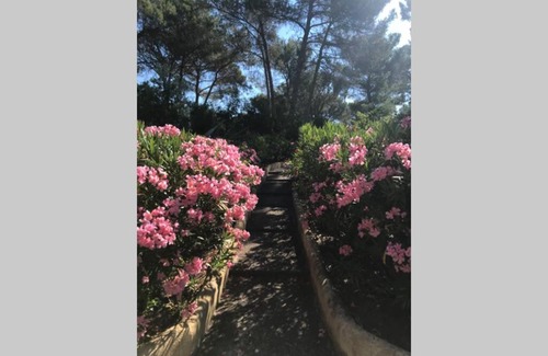 Valescure Apartment | Joli T2 Golfs de Valescure, jardin privé, piscine et tennis dans la Résidence