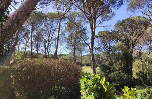 Valescure Apartment | Joli T2 Golfs de Valescure, jardin privé, piscine et tennis dans la Résidence