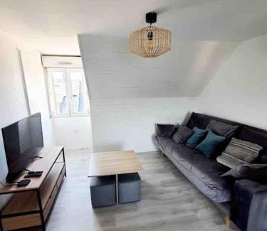 Brive-la-Gaillarde Apartment | jolis logements brivistes 4