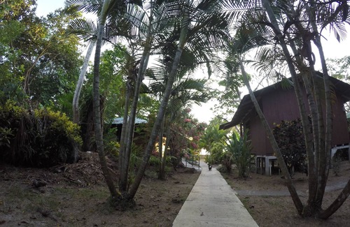 Drake Bay Bed & Breakfast | Jonny's cabins drake day