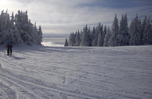 Kopaonik Apartment | JOPA Suncani breg