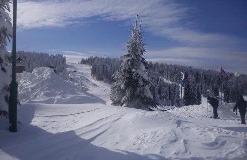 Kopaonik Apartment | JOPA Suncani breg