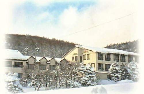 Takayama-mura Cabin | Joshin’etsukogen National Park HOTEL FUJIYA