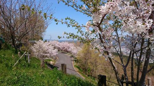 Imari House | Joy House - Vacation STAY 17943v