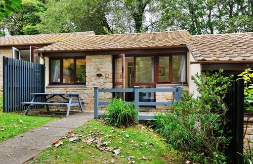 Lelant Ski Chalet | Joyful Cottage
