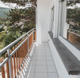 Traben-Trarbach Apartment | Julia's Mosel Villa Appartement TONY