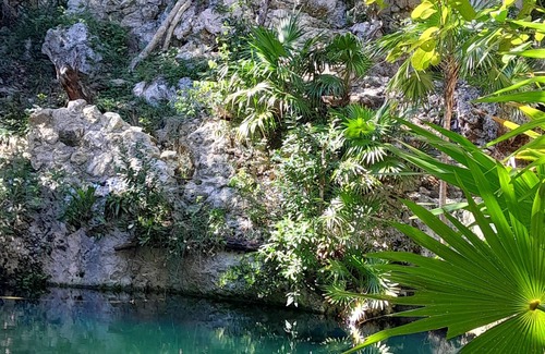 Akumal Cabin | Jungle cabin with cenote