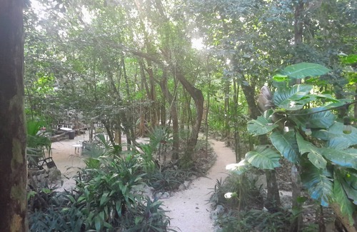 Macario Gomez House | Jungle house.in Mcario Gomez 19 km outside of Tulum.