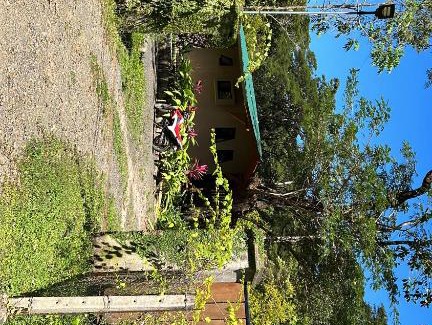 Cabuya House | Jungle Lodge
