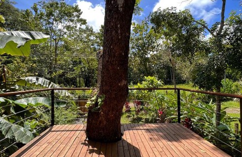 Cabuya House | Jungle Lodge