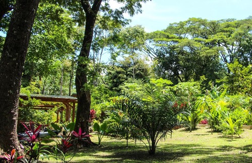 Cabuya House | Jungle Lodge