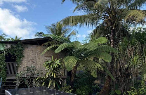 Tanna Island Bed & Breakfast | Jungle Oasis