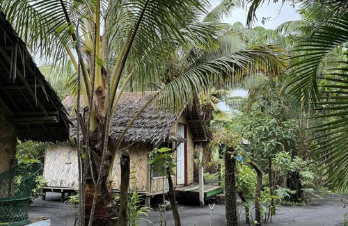 Tanna Island Bed & Breakfast | Jungle Oasis