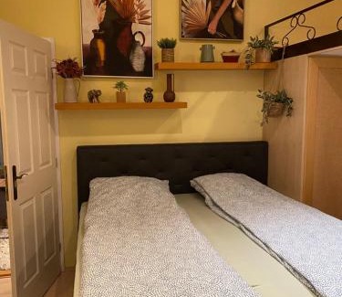 Orszagut Apartment | Jungle Story Apartment by Millenaris Park with Free Parking