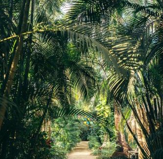 Sayulita Hotel | Junto al Rio Bungalows & Suites